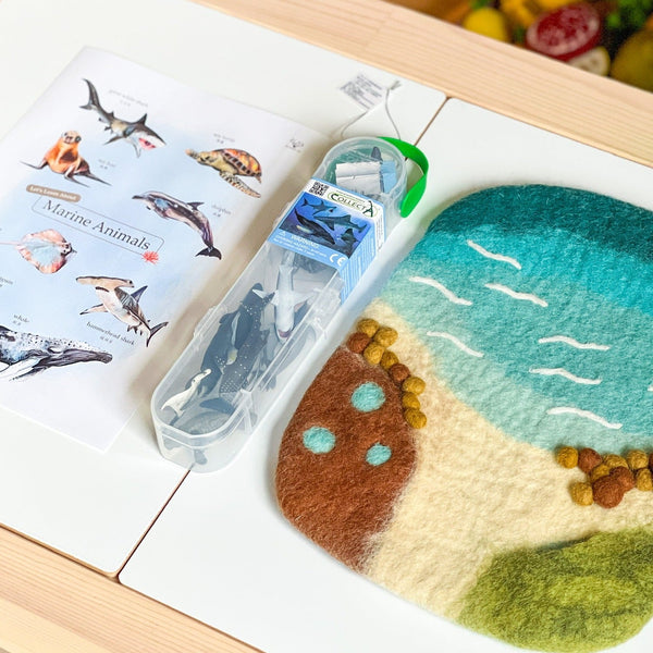 Marine Life Set