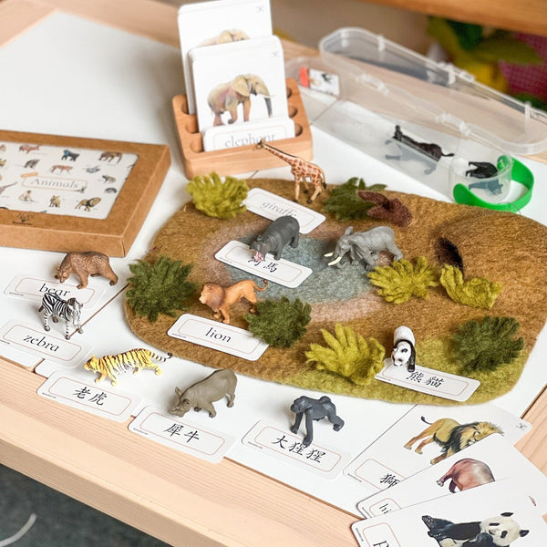 Wild Animals Set