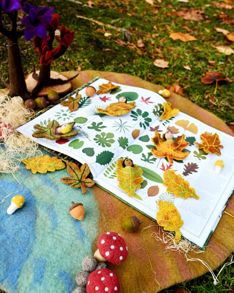 Felt Chesnut Leaf Baby 羊毛氈栗葉小寶寶