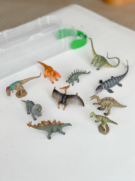 CollectA Minibox Dinosaurs Figurines 仿真迷李恐龍系列