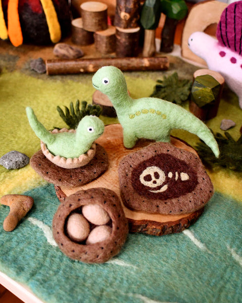 Felt Life Stages of a Dinosaur Brontosaurus 雷龍成長階段教材