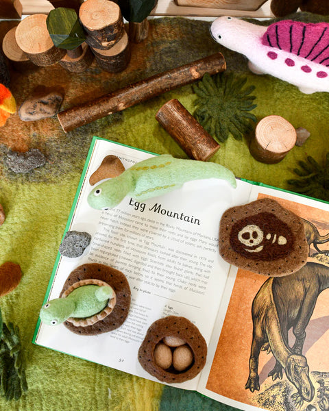 Felt Life Stages of a Dinosaur Brontosaurus 雷龍成長階段教材