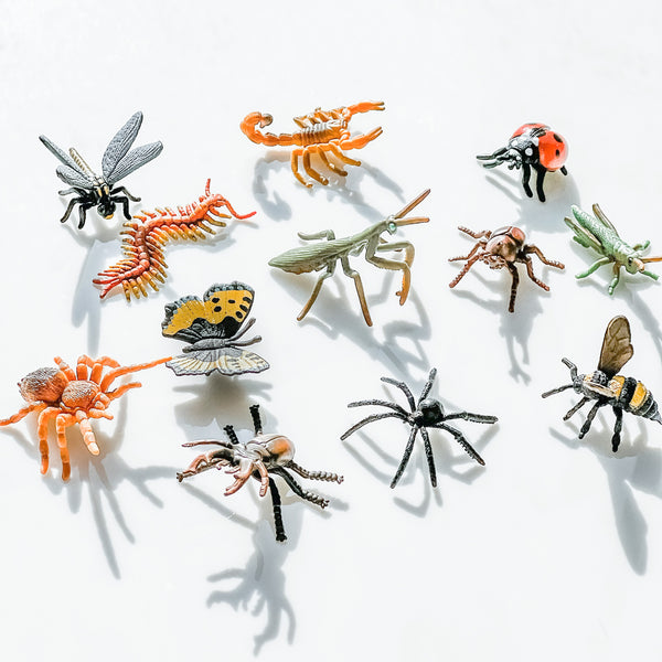 CollectA Bug Figurines 仿真昆蟲系列
