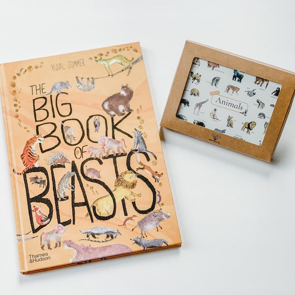 Little Wildlife Biologist 小小動物研究員