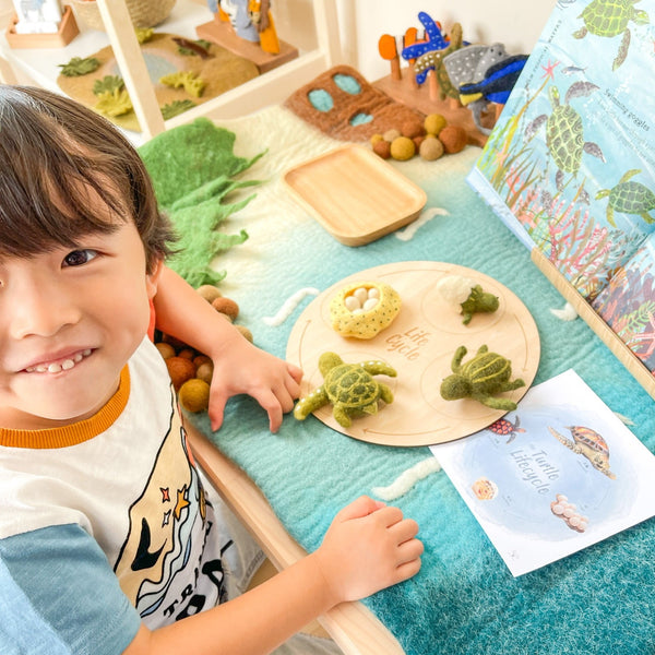 Felt Lifecycle of Green Sea Turtle 海龜生命週期教材