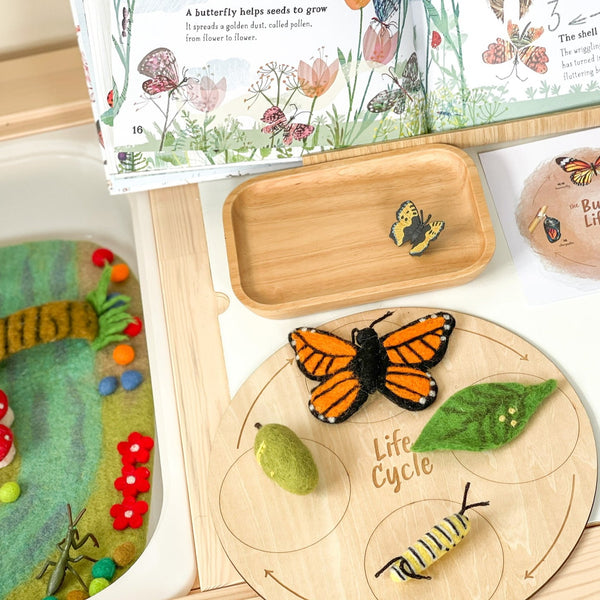 Wooden Lifecycle Learning Board 木製生命週期學習板