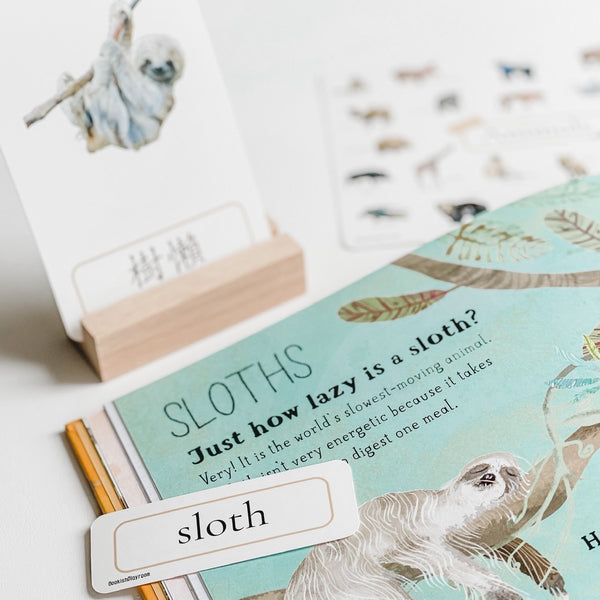 Little Wildlife Biologist 小小動物研究員