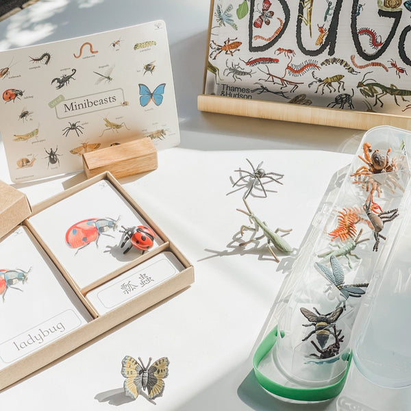 Meet Your Garden Friends 小蟲蟲研究員