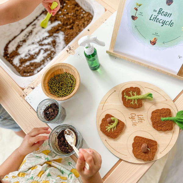 Wooden Lifecycle Learning Board 木製生命週期學習板