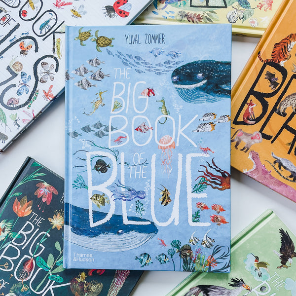 Set of Big Book Series ่ฑๆๅๆธ