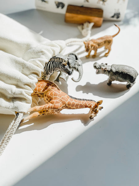 Little Wildlife Biologist 小小動物研究員