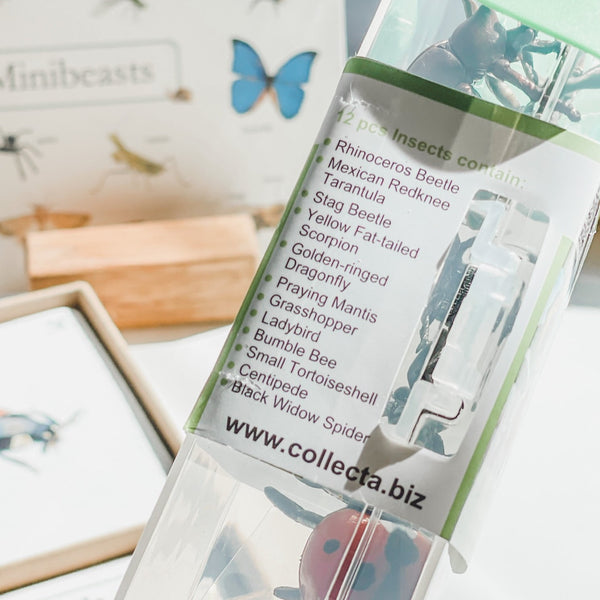 CollectA Bug Figurines 仿真昆蟲系列