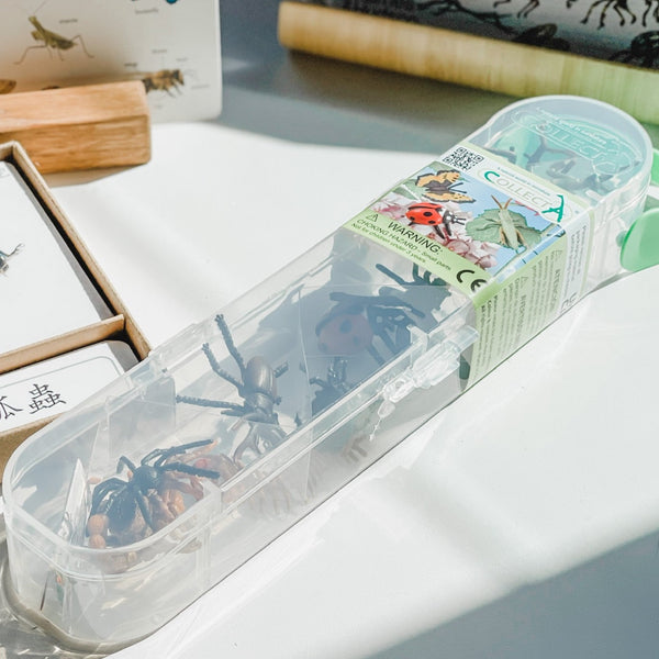 Meet Your Garden Friends 小蟲蟲研究員