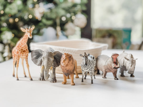 Little Wildlife Biologist 小小動物研究員