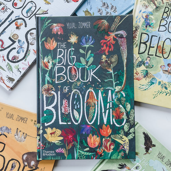 Set of Big Book Series ่ฑๆๅๆธ