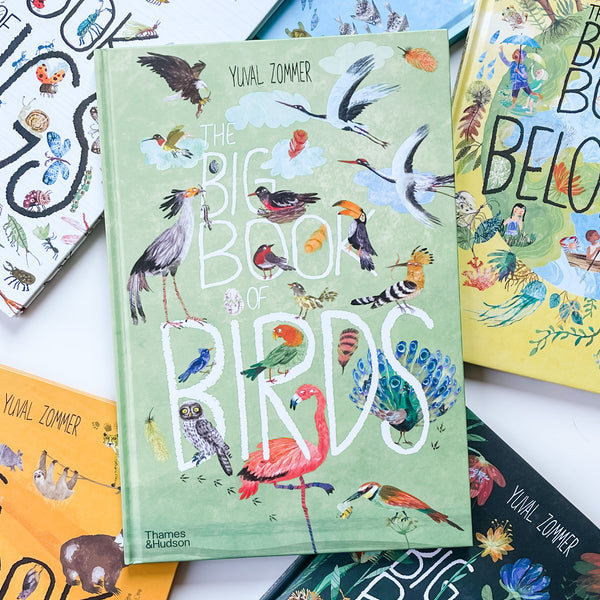 Set of Big Book Series ่ฑๆๅๆธ