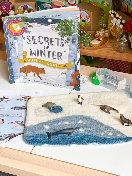 Secrets of Winter ( A Shine-A-Light Book)