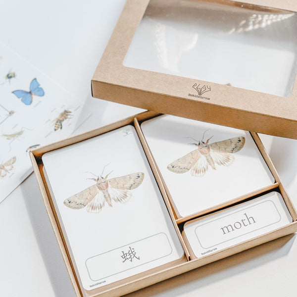 Three Part Cards (Set of Minibeasts) 蒙特梭利學習三段卡 (圖像卡+認字卡)小蟲子系列