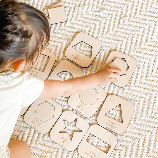 Wooden Shape Puzzles 蒙特梭利形狀木製拼圖