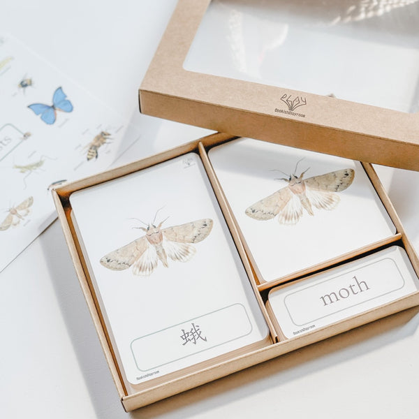 Full Set of 3 Part Cards 全套蒙特梭利學習三段卡 圖像卡+認字卡