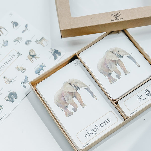 Full Set of 3 Part Cards 全套蒙特梭利學習三段卡 圖像卡+認字卡