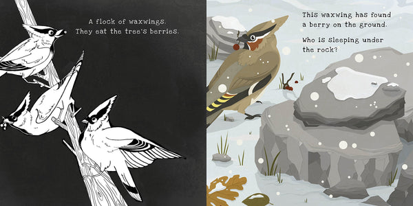 Secrets of Winter ( A Shine-A-Light Book)