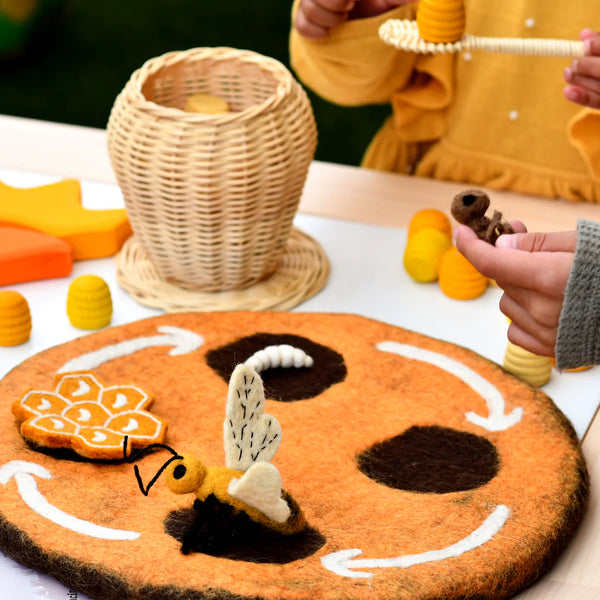 Felt Lifecycle of a Honey Bee 蜜蜂生命週期教材