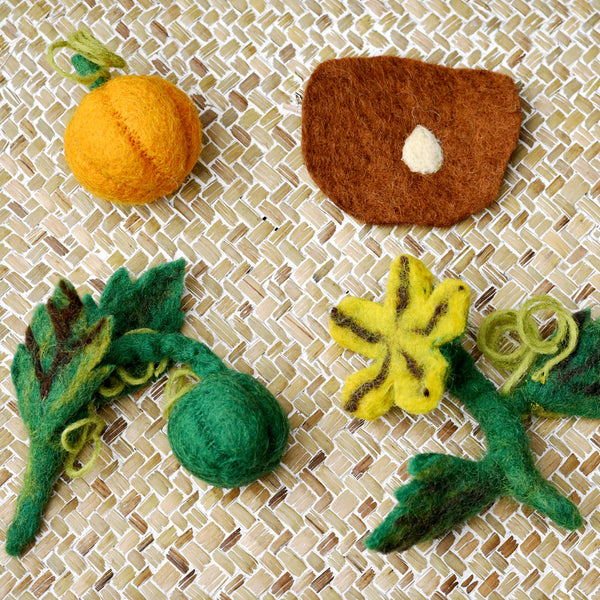 Felt Lifecycle of Pumpkin 南瓜生命週期教材
