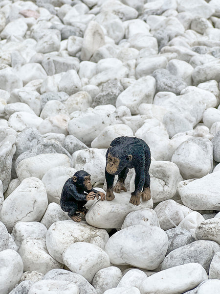 CollectA Asian Animal Figurines (Expansion Pack) 仿真亞洲動物系列