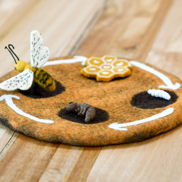 Felt Lifecycle of a Honey Bee 蜜蜂生命週期教材