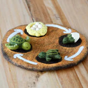 Felt Lifecycle of Green Sea Turtle 海龜生命週期教材
