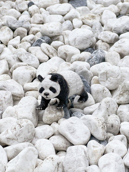 CollectA Asian Animal Figurines (Expansion Pack) 仿真亞洲動物系列