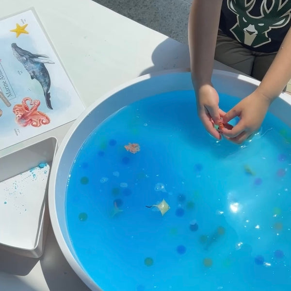 🌊海洋世界沐浴球DIY套裝 Marine Life DIY Bath Bomb Set