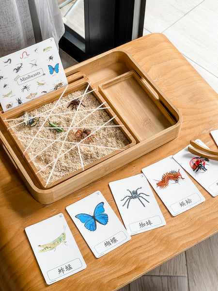 Montessori Tray Set- Set of 6 蒙特梭利竹製木盤套裝 (一套六件)