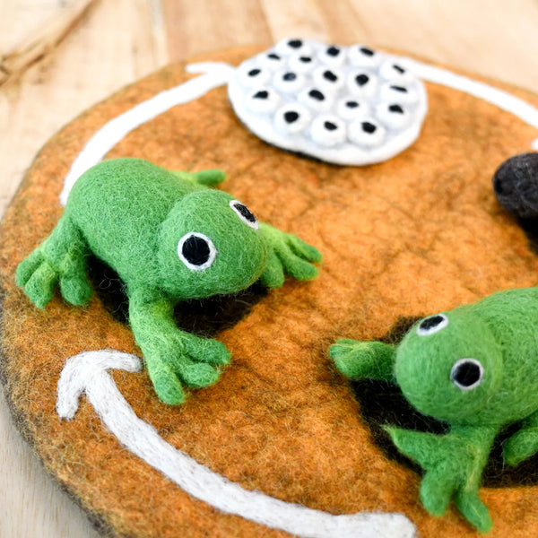 Felt Lifecycle of a Frog 蜻蛙生命週期教材