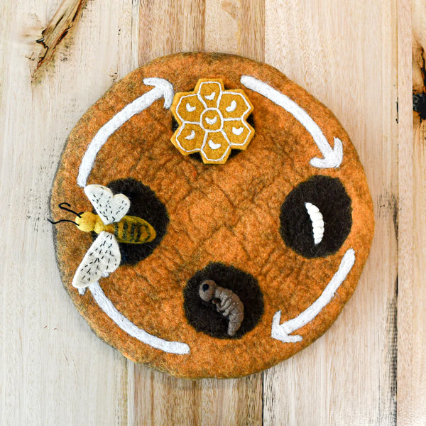 Felt Lifecycle of a Honey Bee 蜜蜂生命週期教材