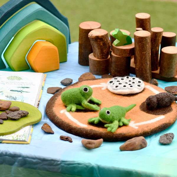 Felt Lifecycle of a Frog 蜻蛙生命週期教材