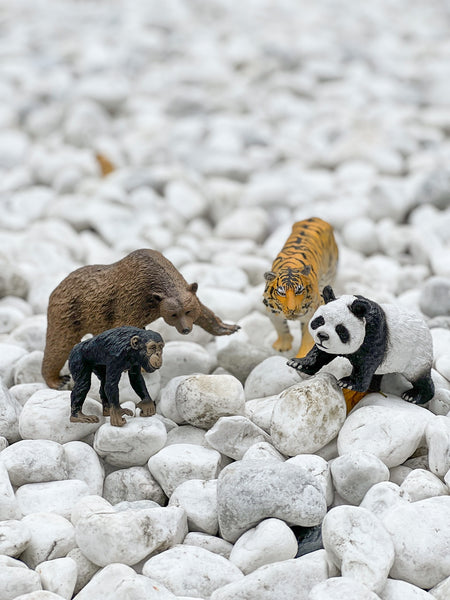 CollectA Asian Animal Figurines (Expansion Pack) 仿真亞洲動物系列