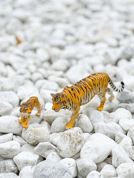 CollectA Asian Animal Figurines (Expansion Pack) 仿真亞洲動物系列