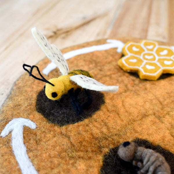 Felt Lifecycle of a Honey Bee 蜜蜂生命週期教材