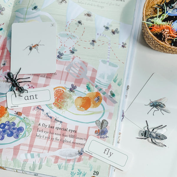 Meet Your Garden Friends 小蟲蟲研究員