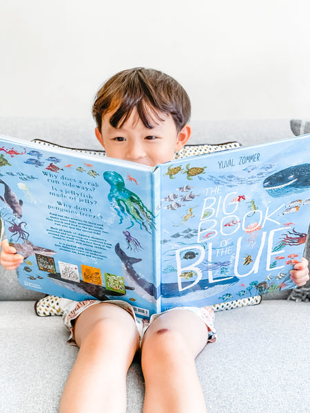 🌊海洋世界沐浴球DIY套裝 Marine Life DIY Bath Bomb Set