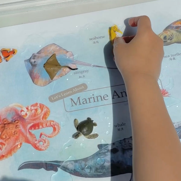 🌊海洋世界沐浴球DIY套裝 Marine Life DIY Bath Bomb Set