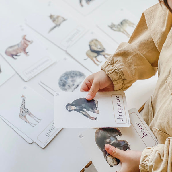 Three Part Cards (Set of Animals) 蒙特梭利學習三段卡 (圖像卡+認字卡)動物系列