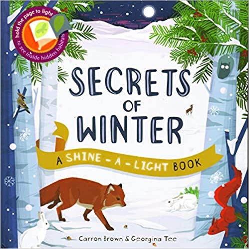 Secrets of Winter ( A Shine-A-Light Book)