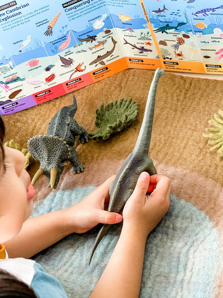 CollectA Dinosaur Figurines 仿真恐龍玩具系列