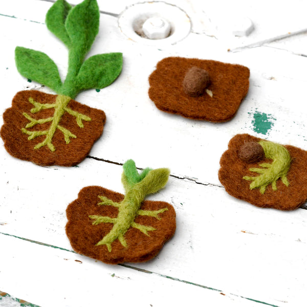 Felt Lifecycle of Bean Plant 植物生命週期教材