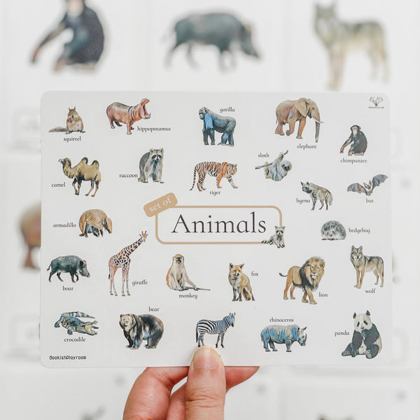 Three Part Cards (Set of Animals) 蒙特梭利學習三段卡 (圖像卡+認字卡)動物系列