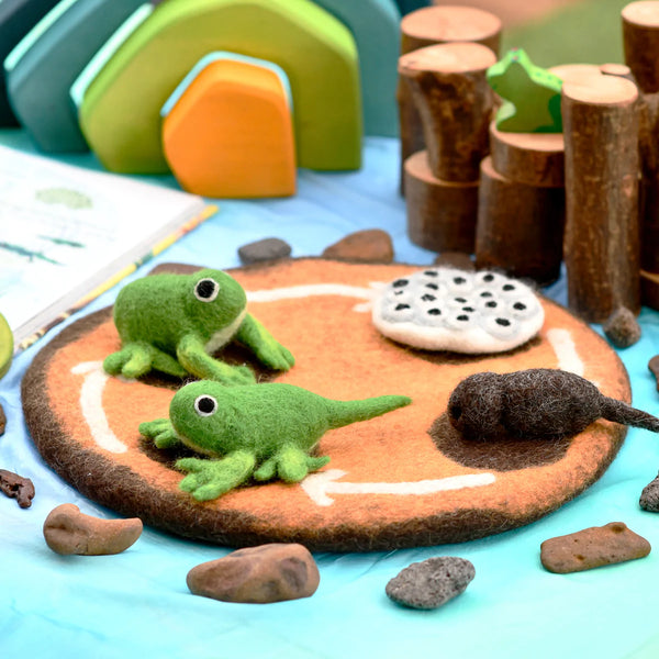 Felt Lifecycle of a Frog 蜻蛙生命週期教材