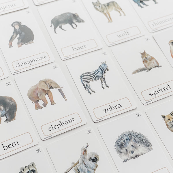 Three Part Cards (Set of Animals) 蒙特梭利學習三段卡 (圖像卡+認字卡)動物系列